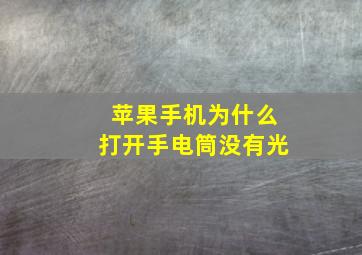 苹果手机为什么打开手电筒没有光