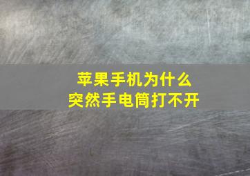 苹果手机为什么突然手电筒打不开