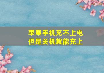 苹果手机充不上电但是关机就能充上