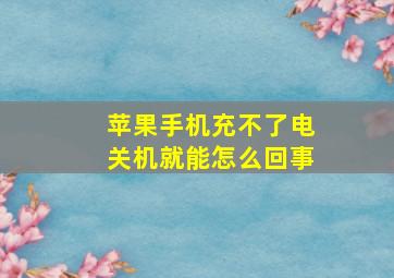 苹果手机充不了电关机就能怎么回事