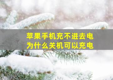 苹果手机充不进去电为什么关机可以充电