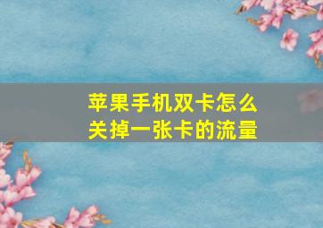 苹果手机双卡怎么关掉一张卡的流量