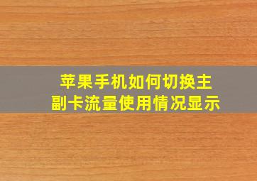 苹果手机如何切换主副卡流量使用情况显示