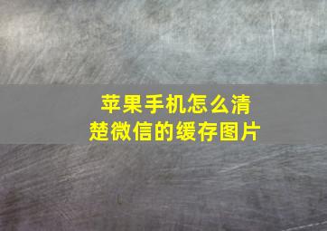 苹果手机怎么清楚微信的缓存图片