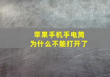 苹果手机手电筒为什么不能打开了