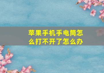 苹果手机手电筒怎么打不开了怎么办