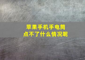 苹果手机手电筒点不了什么情况呢