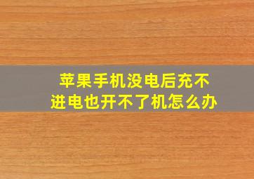 苹果手机没电后充不进电也开不了机怎么办