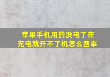 苹果手机用的没电了在充电就开不了机怎么回事