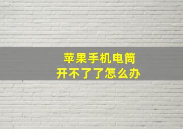 苹果手机电筒开不了了怎么办