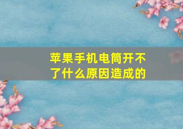 苹果手机电筒开不了什么原因造成的