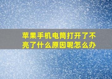 苹果手机电筒打开了不亮了什么原因呢怎么办