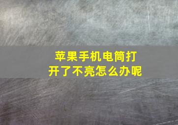 苹果手机电筒打开了不亮怎么办呢