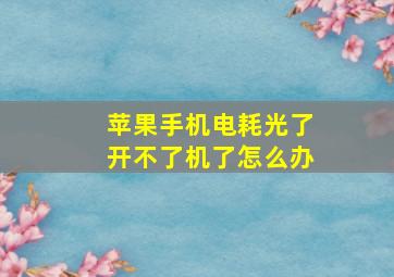 苹果手机电耗光了开不了机了怎么办