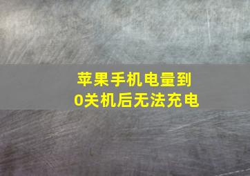 苹果手机电量到0关机后无法充电