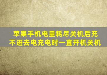 苹果手机电量耗尽关机后充不进去电充电时一直开机关机