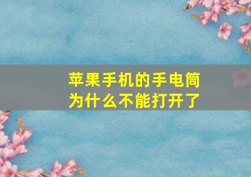 苹果手机的手电筒为什么不能打开了