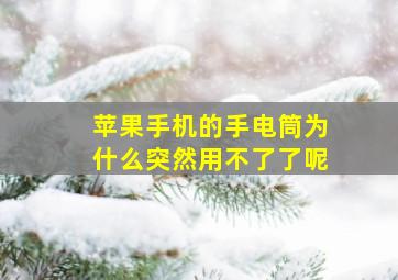 苹果手机的手电筒为什么突然用不了了呢