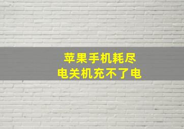 苹果手机耗尽电关机充不了电