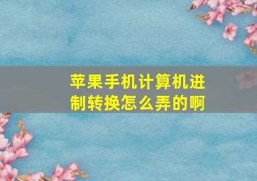 苹果手机计算机进制转换怎么弄的啊