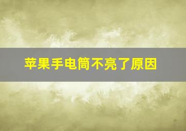 苹果手电筒不亮了原因