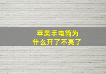 苹果手电筒为什么开了不亮了