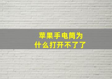 苹果手电筒为什么打开不了了