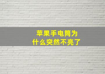 苹果手电筒为什么突然不亮了