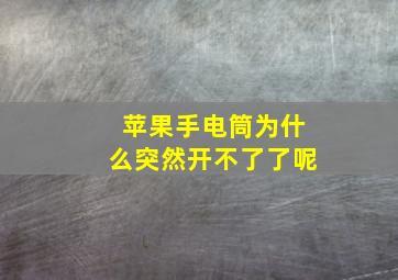 苹果手电筒为什么突然开不了了呢