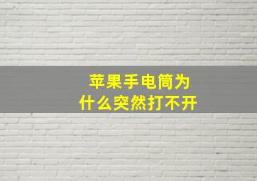 苹果手电筒为什么突然打不开