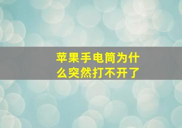 苹果手电筒为什么突然打不开了