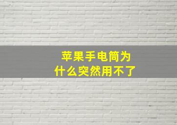 苹果手电筒为什么突然用不了