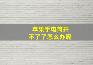 苹果手电筒开不了了怎么办呢