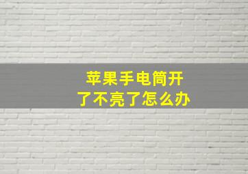 苹果手电筒开了不亮了怎么办