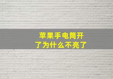 苹果手电筒开了为什么不亮了