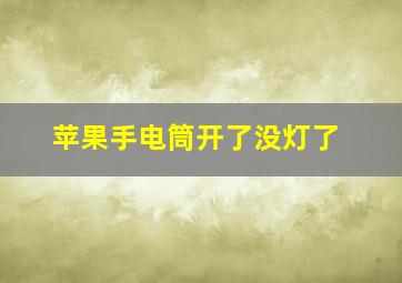 苹果手电筒开了没灯了