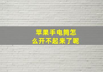 苹果手电筒怎么开不起来了呢