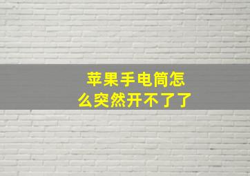 苹果手电筒怎么突然开不了了