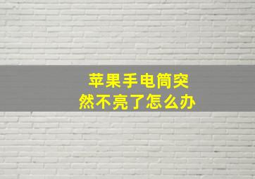 苹果手电筒突然不亮了怎么办