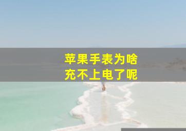 苹果手表为啥充不上电了呢