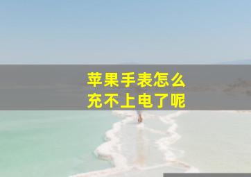 苹果手表怎么充不上电了呢