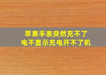 苹果手表突然充不了电不显示充电开不了机