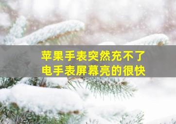 苹果手表突然充不了电手表屏幕亮的很快