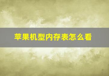 苹果机型内存表怎么看