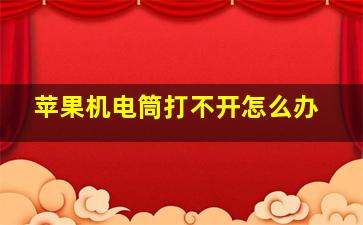 苹果机电筒打不开怎么办