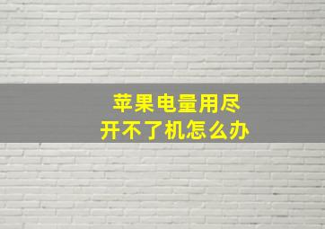 苹果电量用尽开不了机怎么办