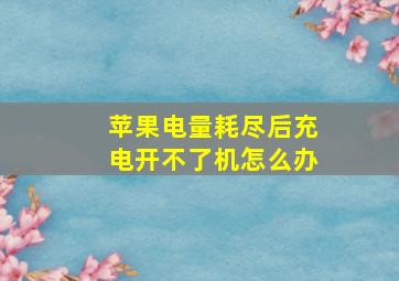 苹果电量耗尽后充电开不了机怎么办