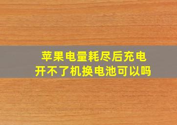 苹果电量耗尽后充电开不了机换电池可以吗