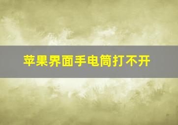 苹果界面手电筒打不开