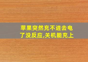 苹果突然充不进去电了没反应,关机能充上